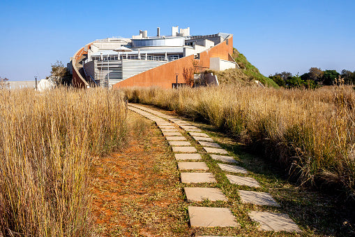 The Cradle of Humankind