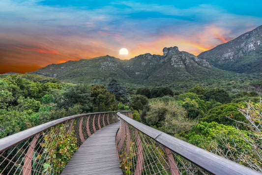 Kirstenbosch
