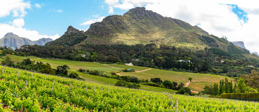 Constantia Winelands