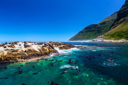 Seal Island