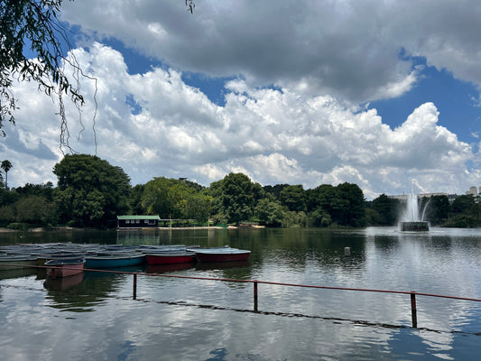Zoo Lake